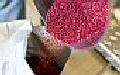 GRAFE Advanced Polymers GmbH Masterbatches GRAFE Advanced Polymers GmbH Masterbatches