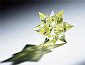 Muri-Prototech-AG Stereolithographie Muri-Prototech-AG Stereolithographie