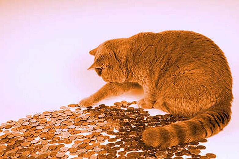 Arbo Plastic - Katze rot Arbo Plastic - Katze rot