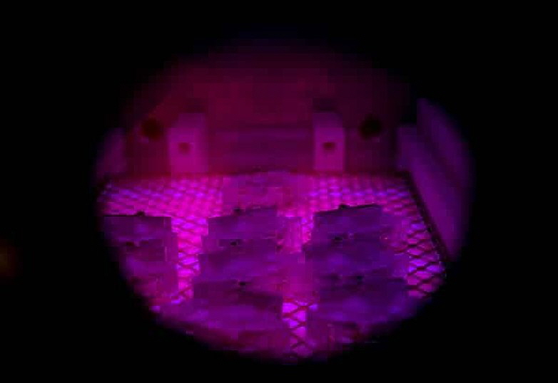Hans Wittich - CASE Tantec Plasma für LED Navigationslichter Bild 2 Hans Wittich - CASE Tantec Plasma für LED Navigationslichter Bild 2