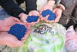 Innorecycling Hände Regranulat Innorecycling Hände Regranulat