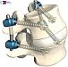 Samaplast Spine Welding Elaris Screws Polymer Samaplast Spine Welding Elaris Screws Polymer