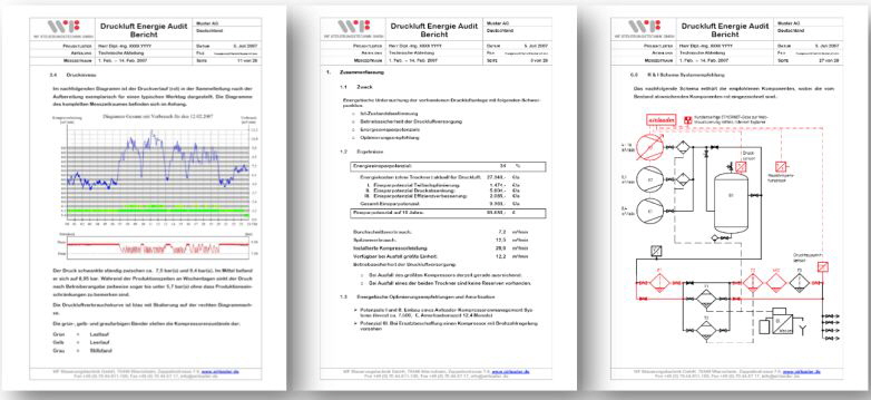 WF Steuerungstechnik - Druckluft-Audit WF Steuerungstechnik - Druckluft-Audit