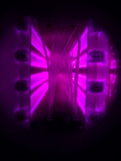 Wittich VacuTEC Katheter