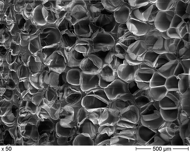 Promix - Cells Promix - Cells